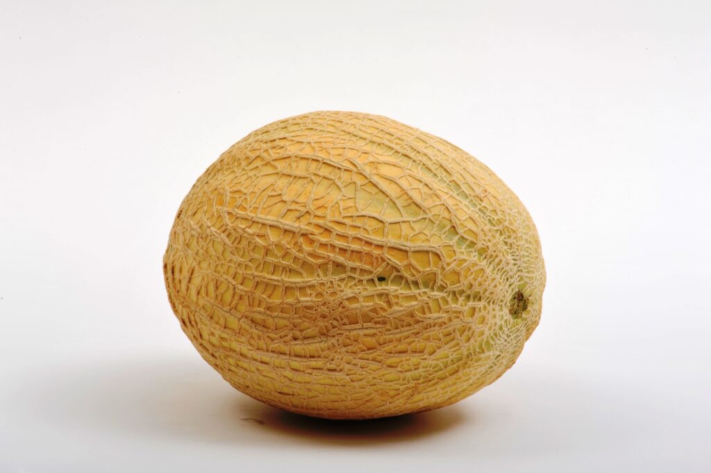 Melon brodé/Cantaloup